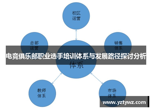 电竞俱乐部职业选手培训体系与发展路径探讨分析