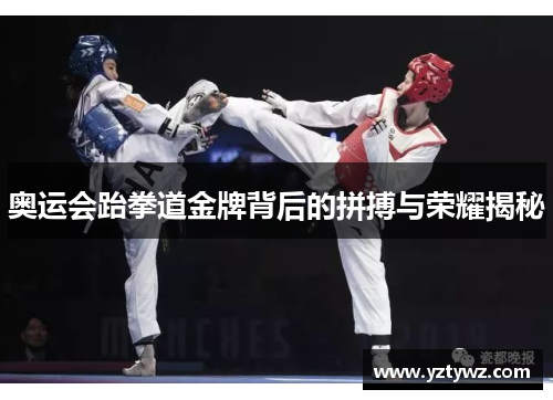 奥运会跆拳道金牌背后的拼搏与荣耀揭秘